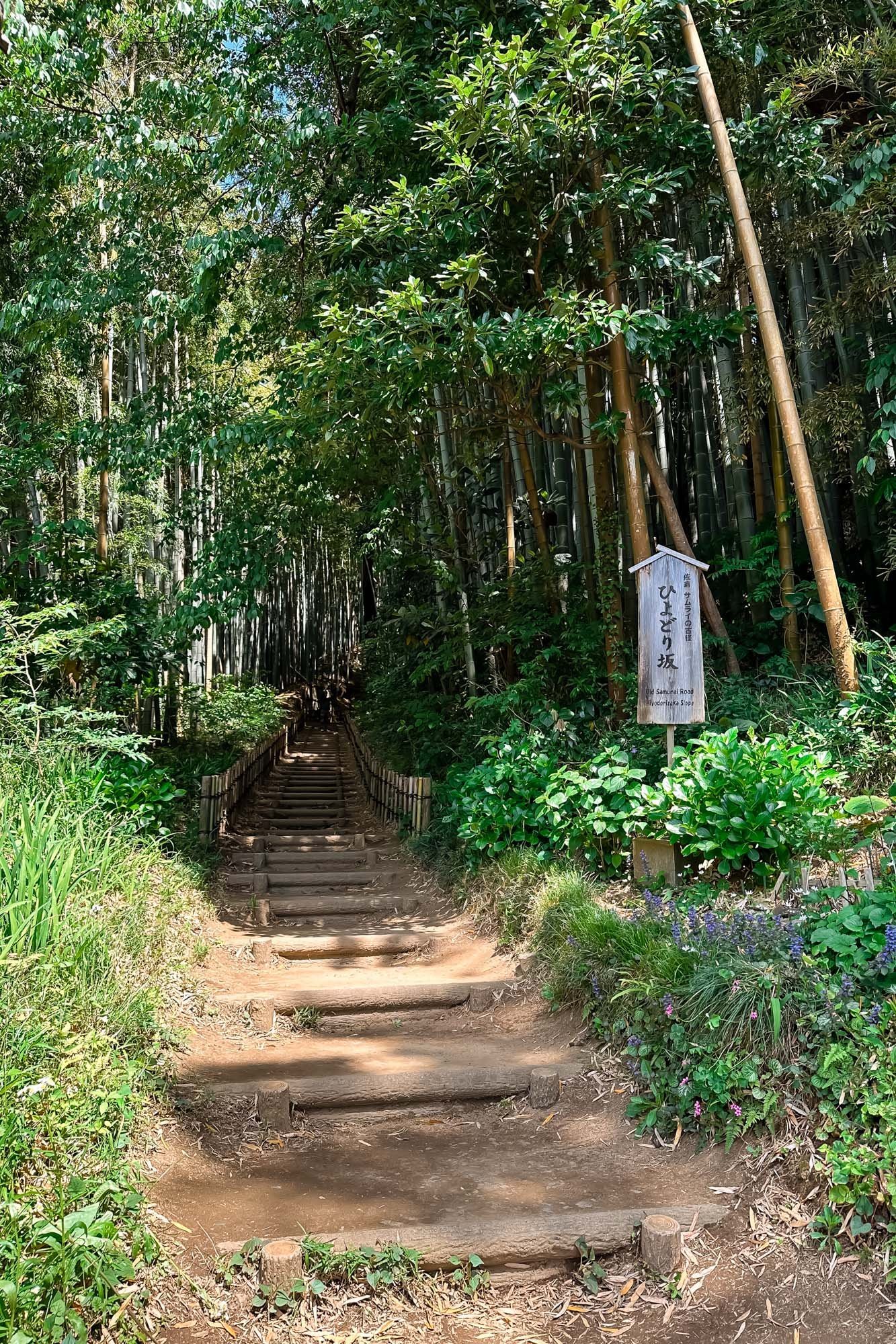🎍 직박구리 언덕 (히요도리자카) 이미지 6